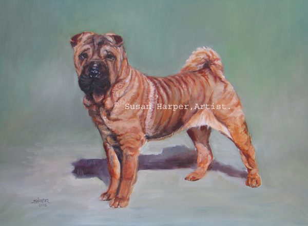 copyright shar pei 1