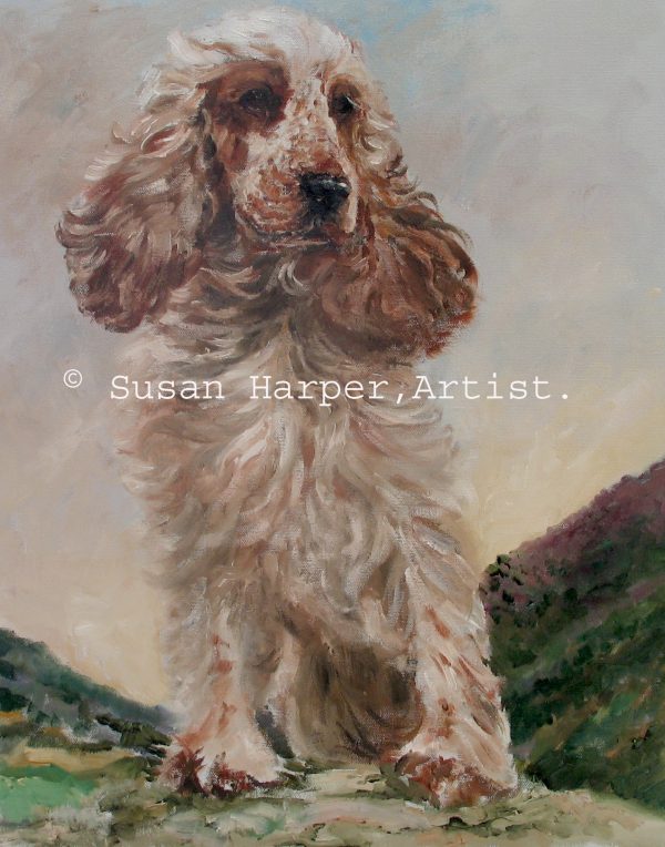 Painting of a Cocker Spaniel 6