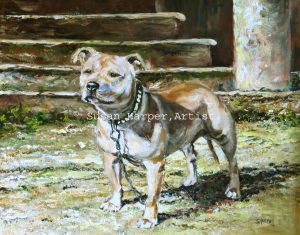 copyright staffordshire bull terrier 1