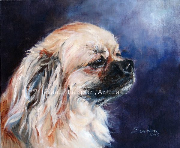 copyright tibetan spaniel 2