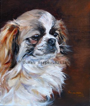 copyright tibetan spaniel 3