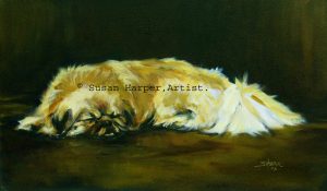 copyright tibetan spaniel 4