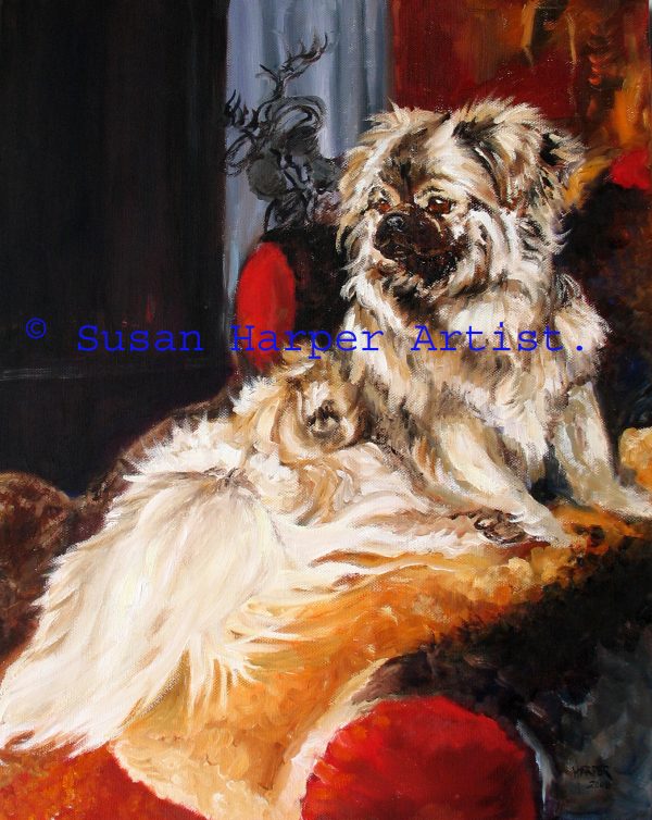 copyright tibetan spaniel 9