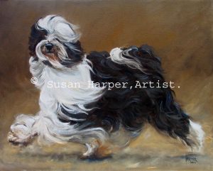 copyright tibetan terrier 10