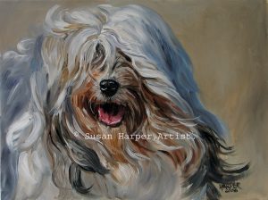 copyright tibetan terrier 11