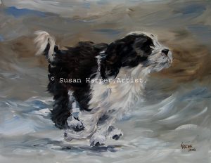 copyright tibetan terrier 12