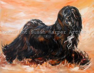 copyright tibetan terrier 14