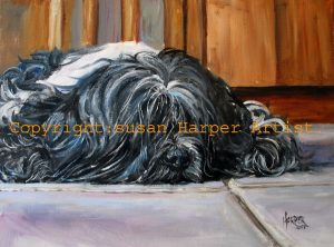 copyright tibetan terrier 20